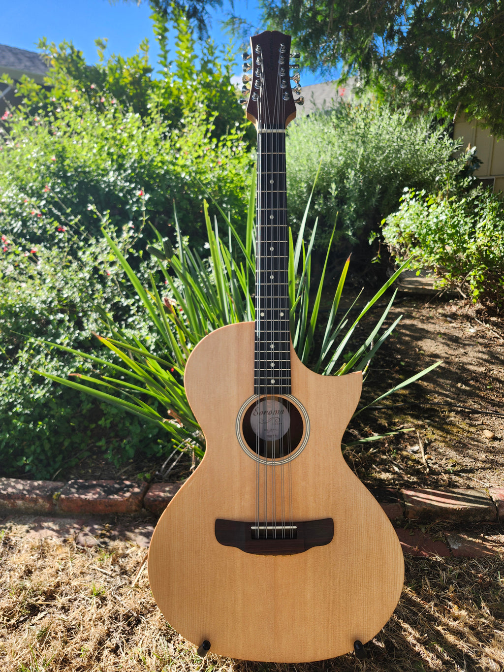 Bajo Quinto B-476NT