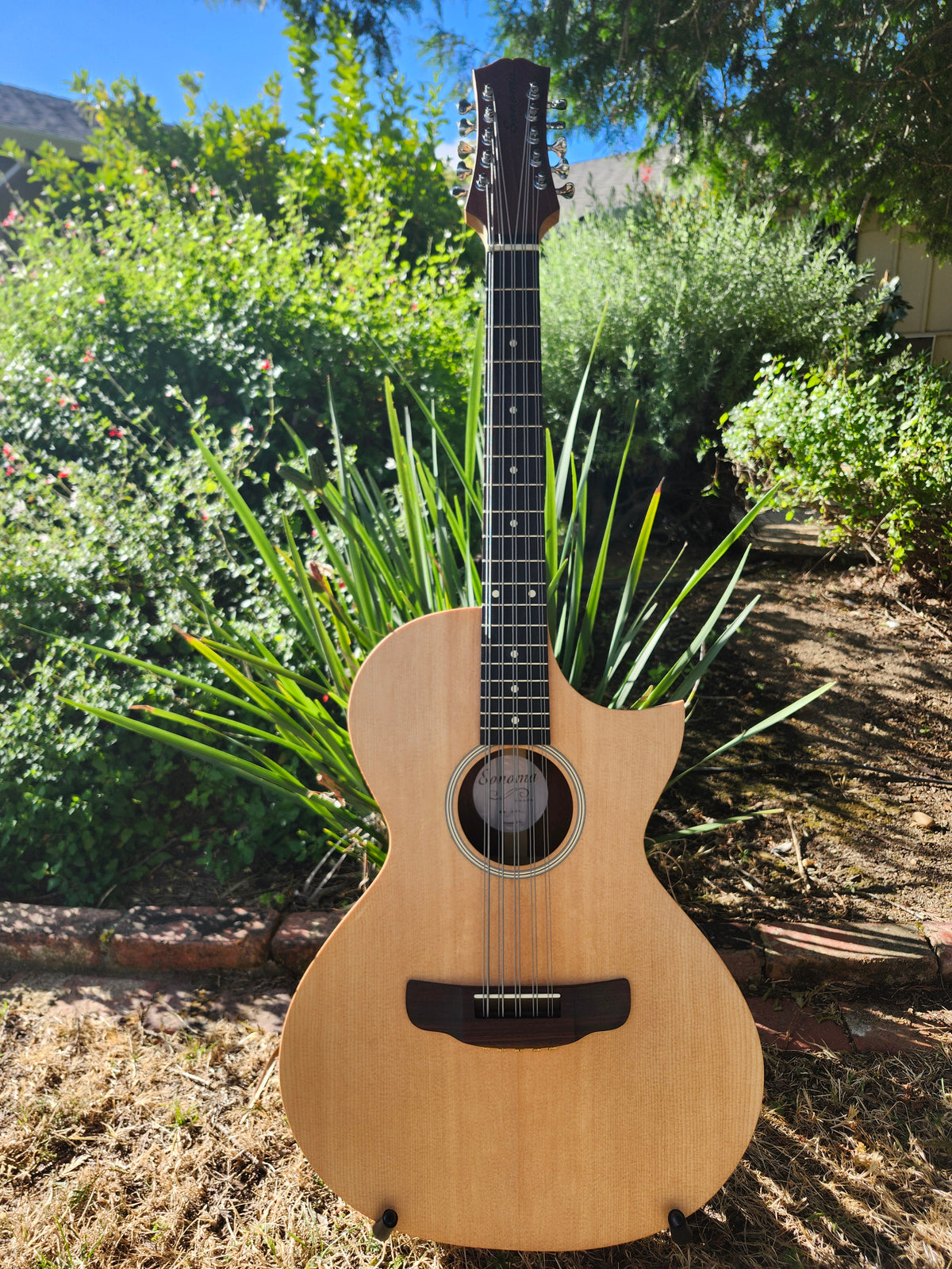 Bajo Quinto B-476NT